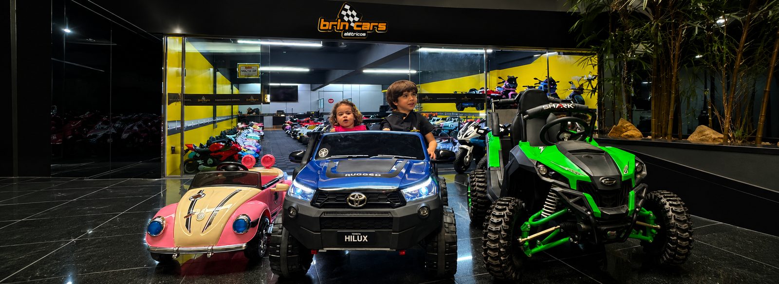 Brin Cars